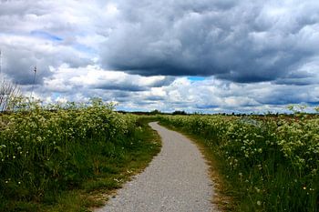 Schelpenpaadje aan het water met Hollandse luchten