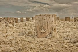 foam heads on the beach zeeland walcheren by anne droogsma