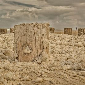 foam heads on the beach zeeland walcheren by anne droogsma