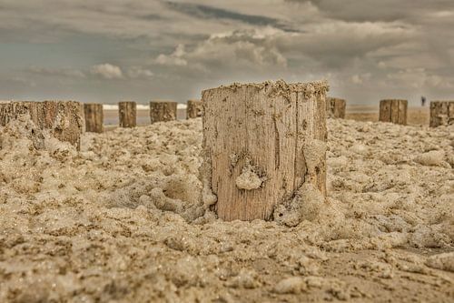schuimkoppen op het strand zeeland walcheren van anne droogsma