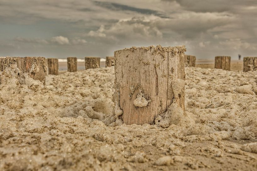 foam heads on the beach zeeland walcheren by anne droogsma