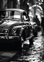 Parisian Elegance