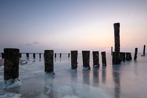 Paalhoofden in het water