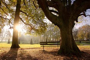 Herfstzonnetje van Mark Leeman