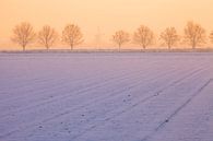 Winter in Zeeland met Molen van Frank Peters thumbnail