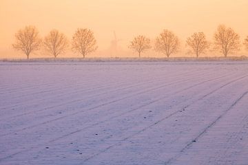 Winter in Zeeland mit Mühle von Frank Peters