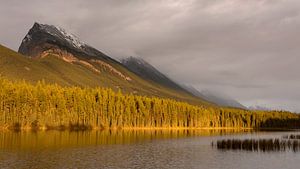 Sonnenuntergang Kanadische Rocky Mountains von Ellen van Drunen