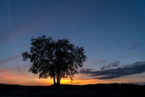 Sonnenuntergang auf der Heide von Ermelo von Gerry van Roosmalen