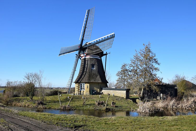 De Swarte Prinsch van Richard Brinkman
