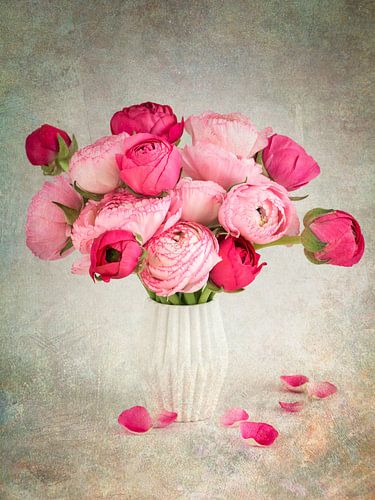 Rosa Ranunkel in einer Vase