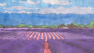 Moderner Abriss. Lavendelfeld in der Provence