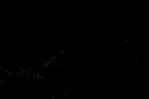 Lichtspuren der Nacht