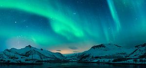 Nordlichter über den Bergen auf den Lofoten in Norwegen