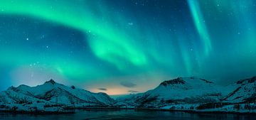 Noorderlicht boven de bergen op de Lofoten in Noorwegen van Sjoerd van der Wal Fotografie