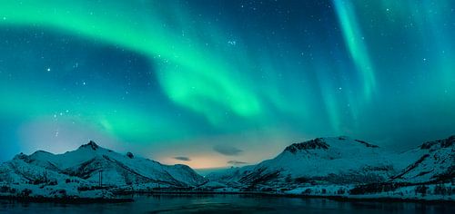 Aurores boréales au-dessus des montagnes aux îles Lofoten en Norvège