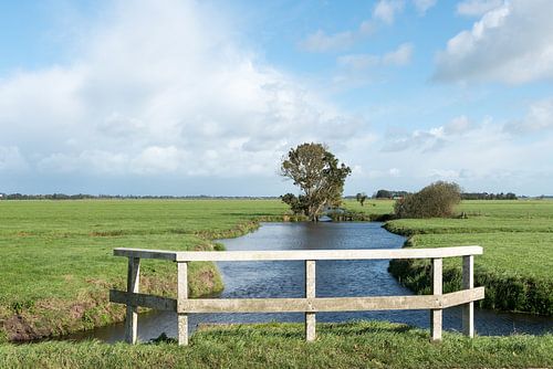 Watergang de Oude wetering in de Alblasserwaard
