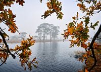 Herbstlicher Anblick