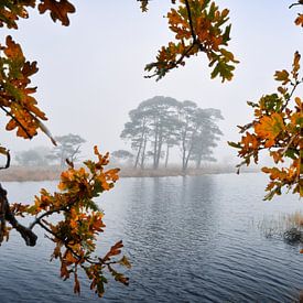 Doorkijkje in herfst seizoen van Waldo Kersten
