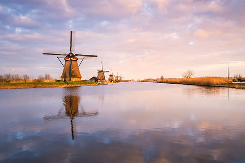 Windmühlen im Alblasserwaard