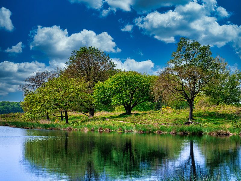 spring by snippefotografie