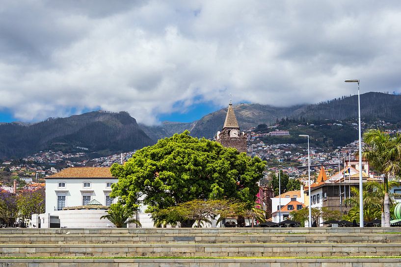 Blick auf Funchal auf der Insel Madeira, Portugal par Rico Ködder