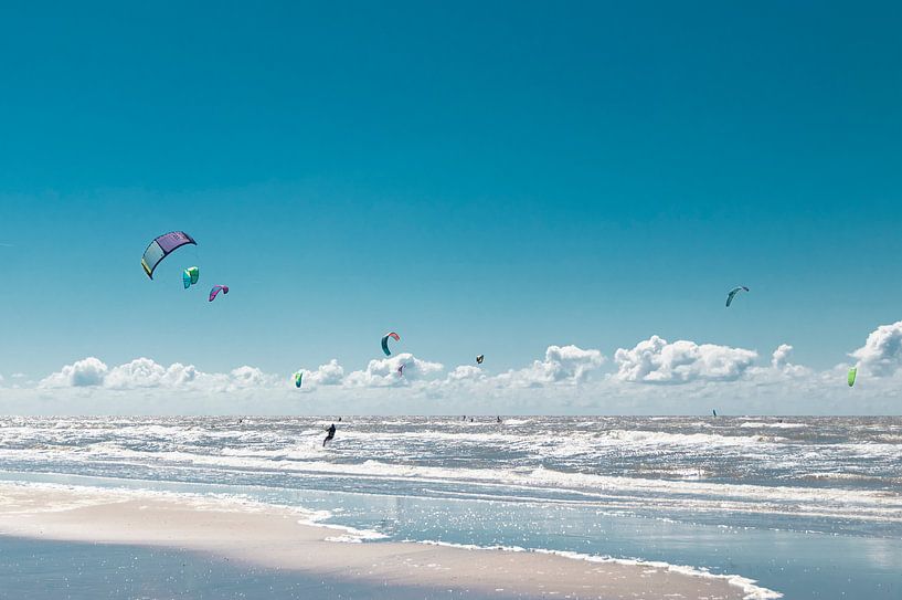 Surf 5 by Elle Rowbottom