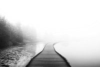 Misty water landscape