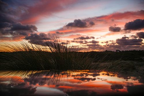 Sunrise Dune Zandvoort