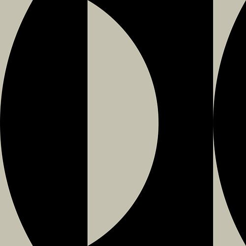 Zwarte Abstracte Geometrische Vormen nr. 6