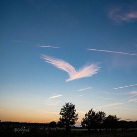 Wolkenvogel im Sonnenuntergang von Arjan Stunnenberg