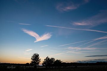Wolkvogel in de zonsondergang van Arjan Stunnenberg
