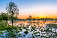 Zonsondergang in Stadspark Meinerswijk Arnhem