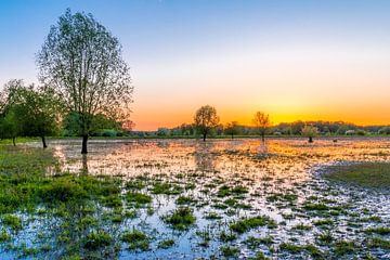 Zonsondergang in Stadspark Meinerswijk Arnhem