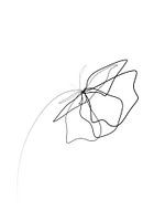 Power Flower