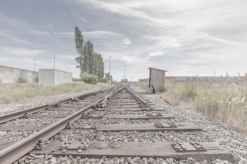 Identiteitsloze haven #4