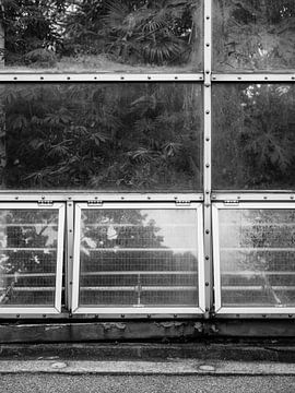 Greenhouse in Black and White by Raisa Zwart