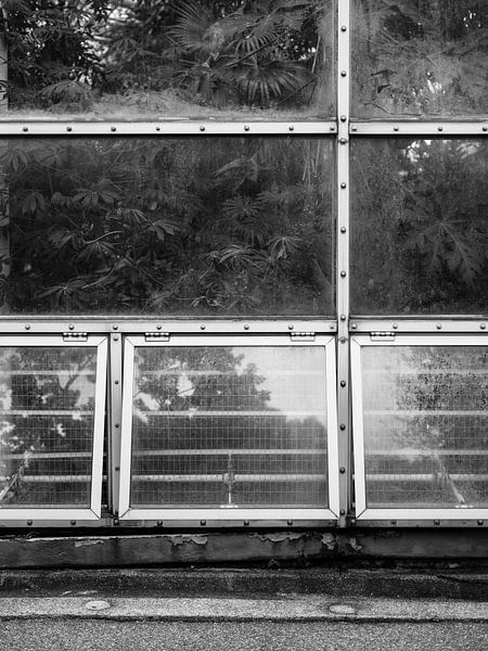 Greenhouse in Black and White by Raisa Zwart