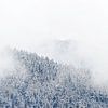 Laaghangende bewolking in Tirol, Oostenrijk van Martijn van der Nat