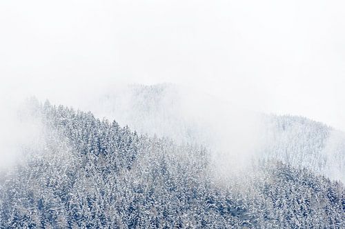 Laaghangende bewolking in Tirol, Oostenrijk