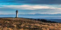 Blick zum Feldbergturm bis zu den Alpen