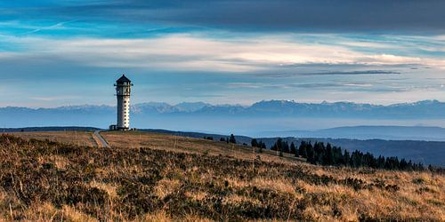 View to the Feldbergturm up to the Alps