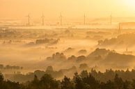 Zicht over Montferland von Elroy Spelbos Fotografie Miniaturansicht