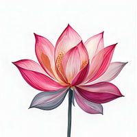 ABSTRACT LOTUS FLOWER