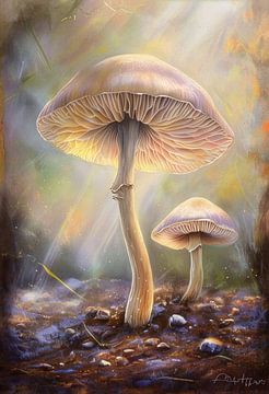 In the light of the earth by Miranda Geerts Art