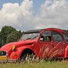 Citroën 2cv in het gras von Theo Joosten