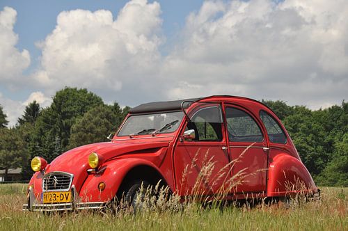 Citroën 2cv in het gras
