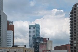 Bossen van hoogbouw in Rotterdam van Arjen Roos