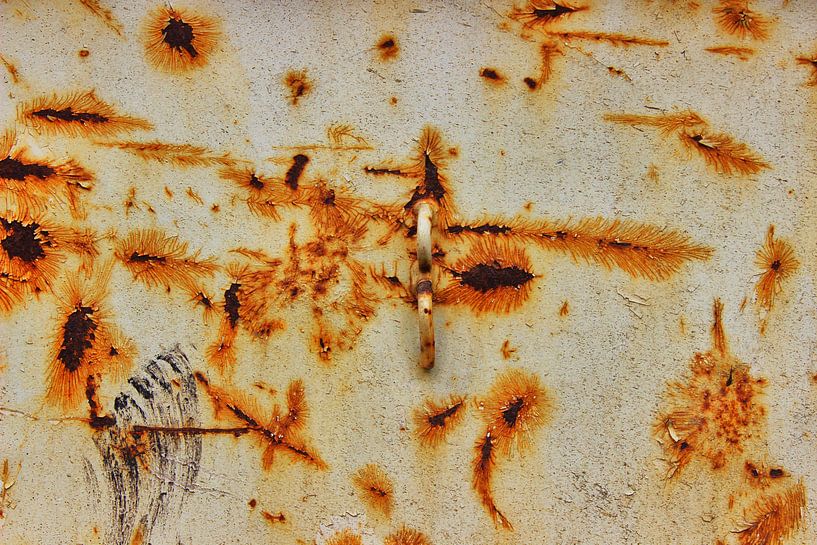 Rust by Dagmar Marina