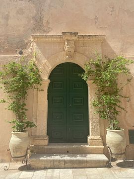 groene deur van Hanneke Bantje