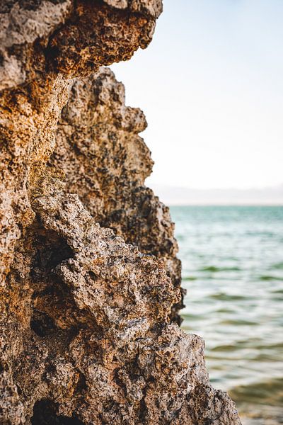 Zomerse herinneringen van Moniek Kuipers